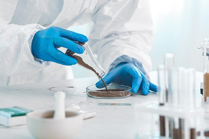 Scientist studying samples of soil in laboratory