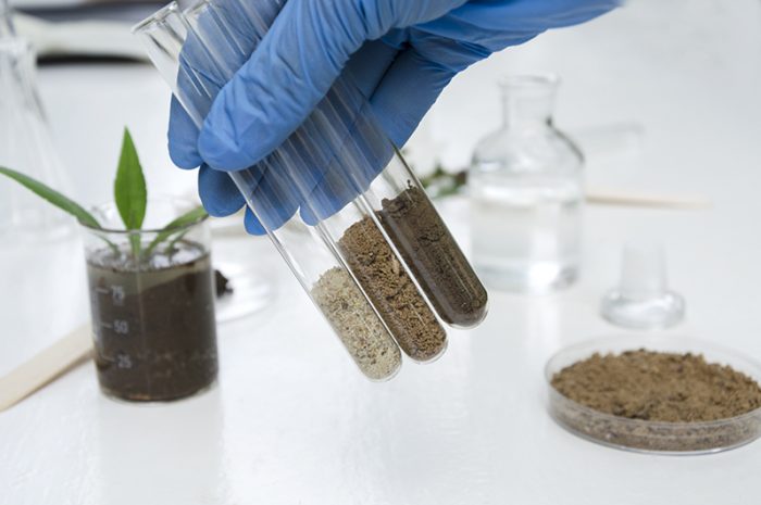 Laboratory assistant holding glass tubes of sand, black soil and